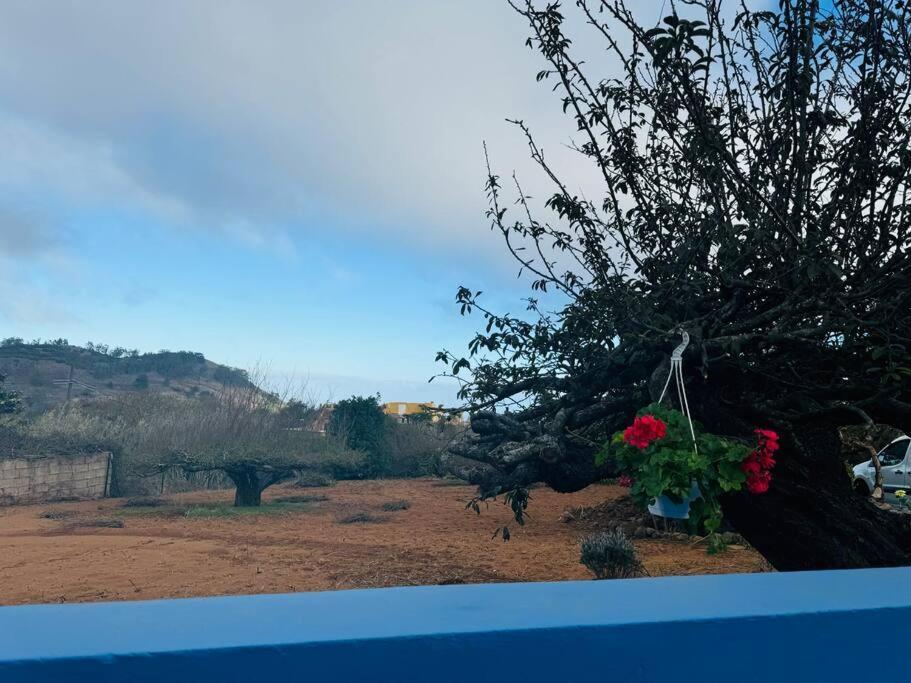 La Casita De Rosi Villa La Esperanza  Buitenkant foto